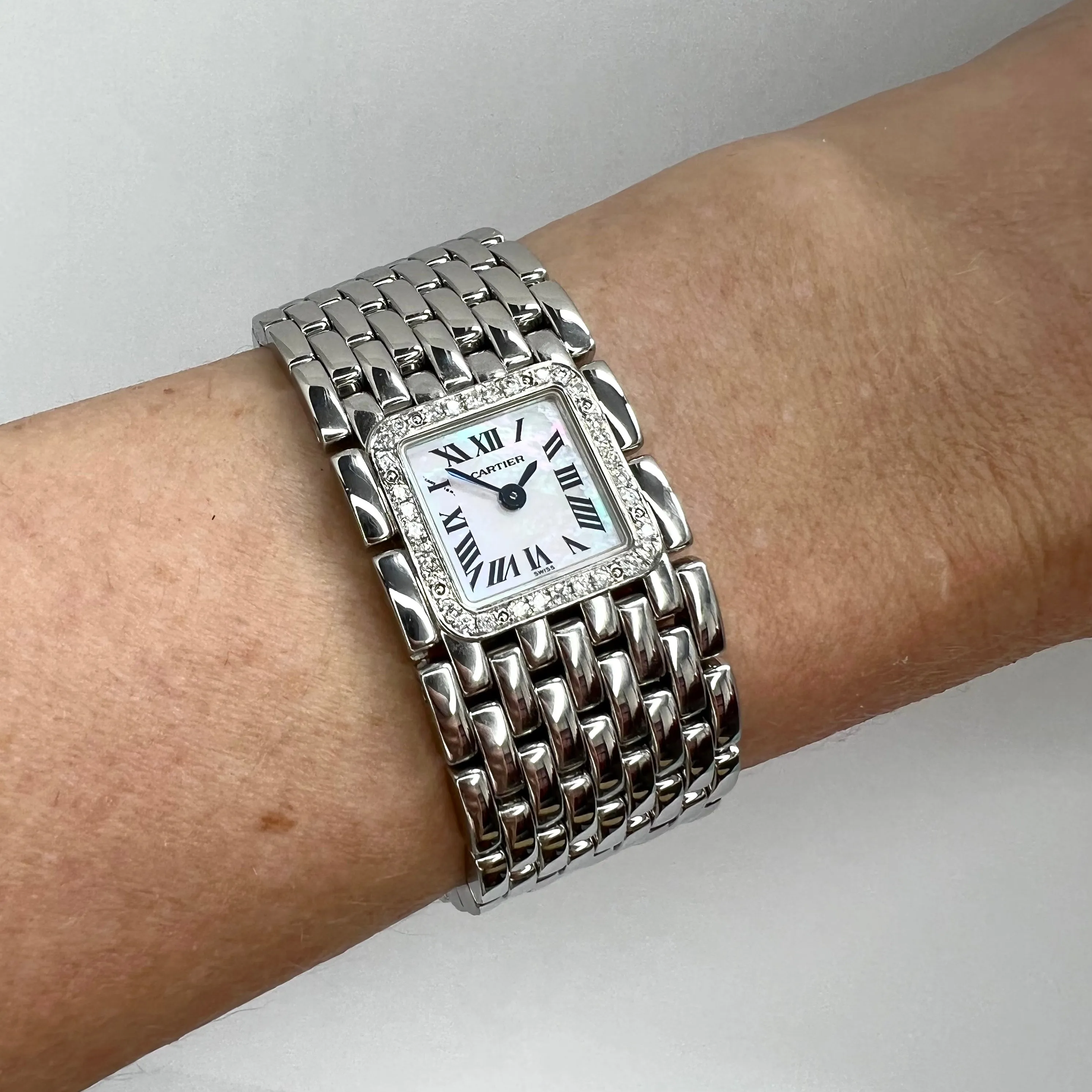 CARTIER Panthere RUBAN Quartz Steel 0.27TCW DIAMOND Watch