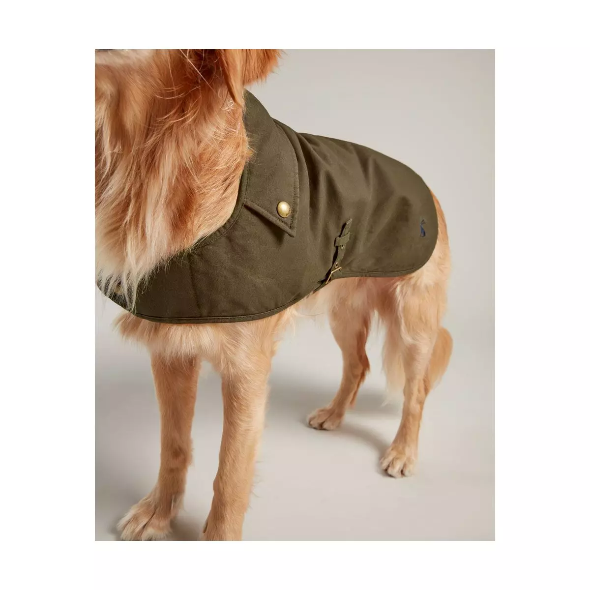 Joules Wax Dog Coat