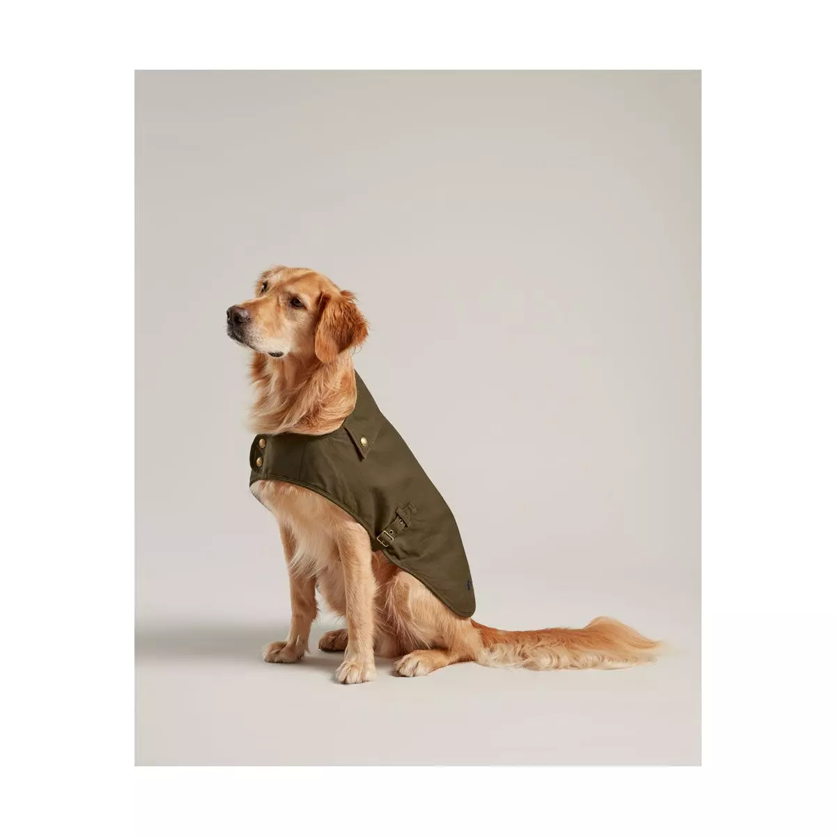 Joules Wax Dog Coat