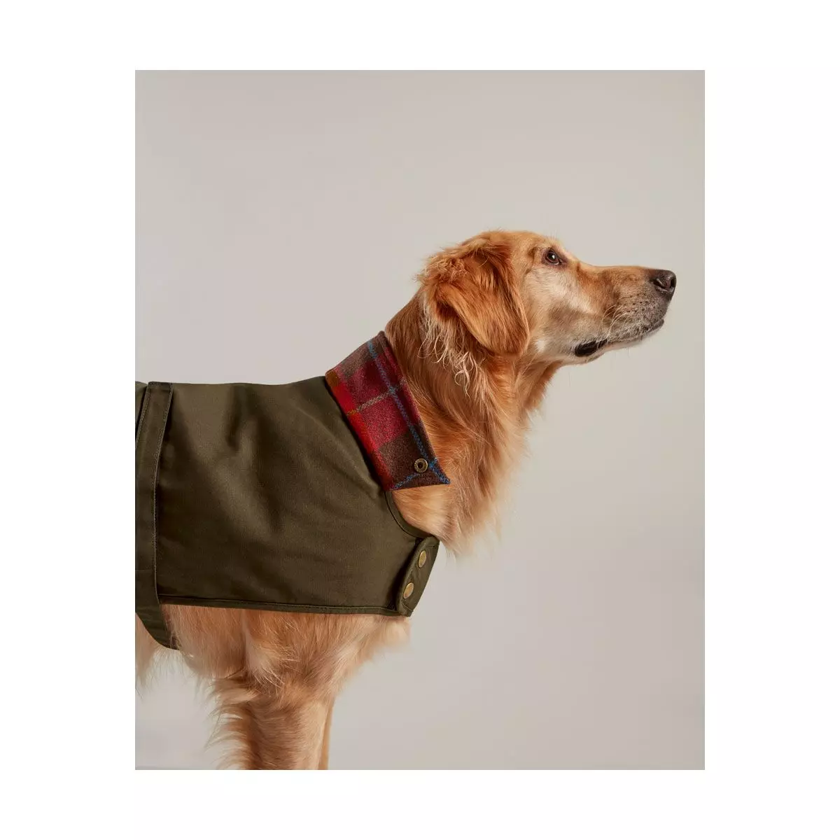 Joules Wax Dog Coat