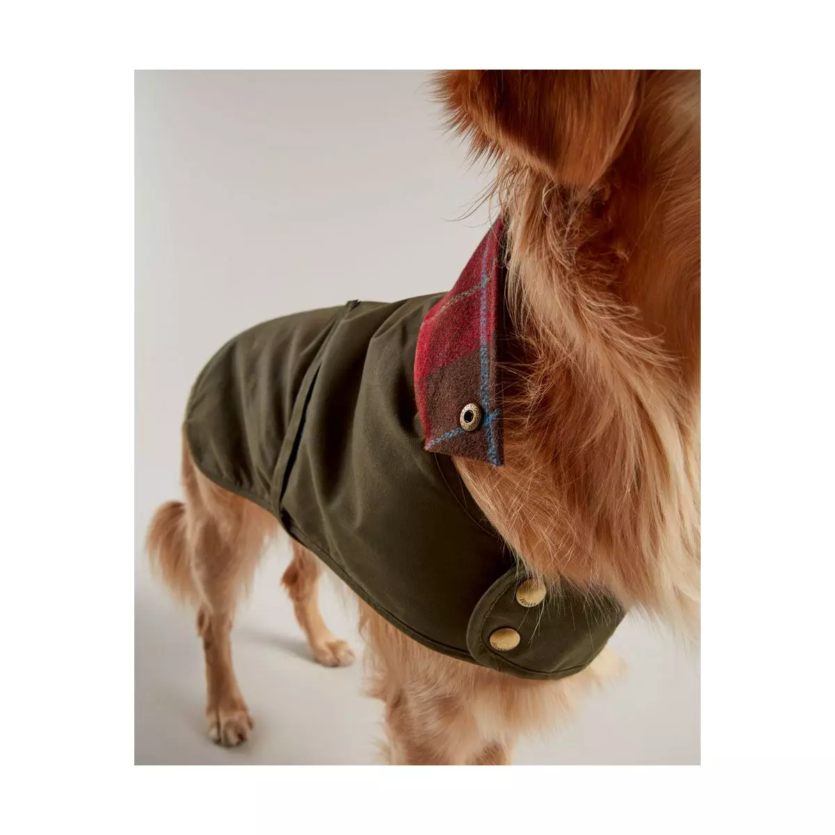 Joules Wax Dog Coat