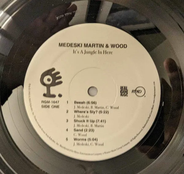 Medeski Martin & Wood ~ It's A Jungle In Here